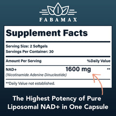 Fabamax NAD+ 1600 mg illustration emphasizes high-potency absorption.