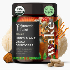 Fantastic Fungi bottle shot showing high-potency 3-in-1 blend for focus