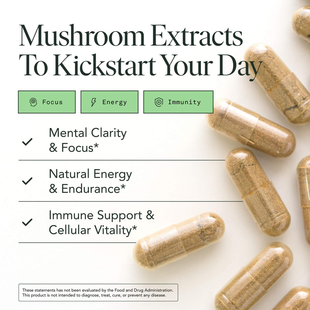 Fantastic Fungi capsules close-up for cognitive support in vegan form