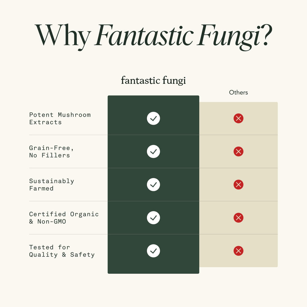 Fantastic Fungi daily-use routine concept with capsule bottle for easy daily intake.