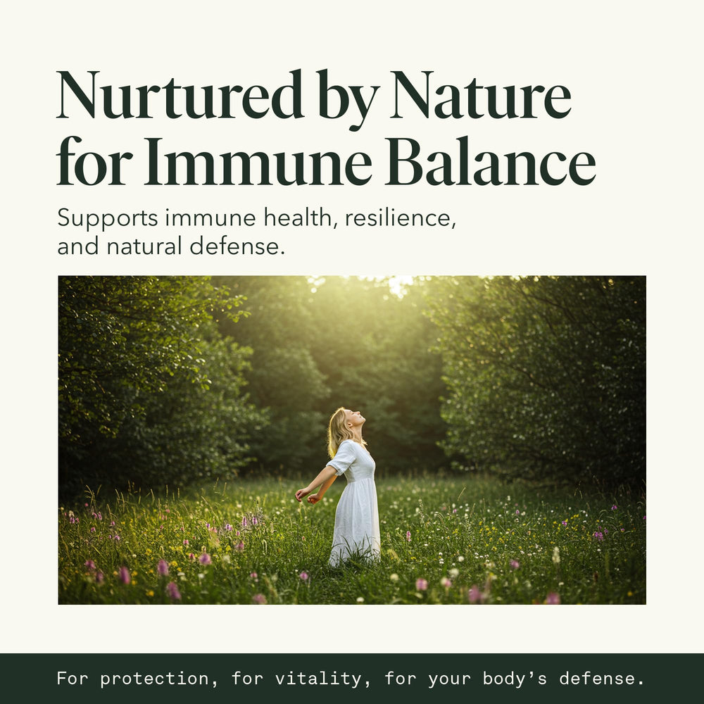 Fantastic Fungi Elderberry and Chaga components offering antioxidant-rich protection.