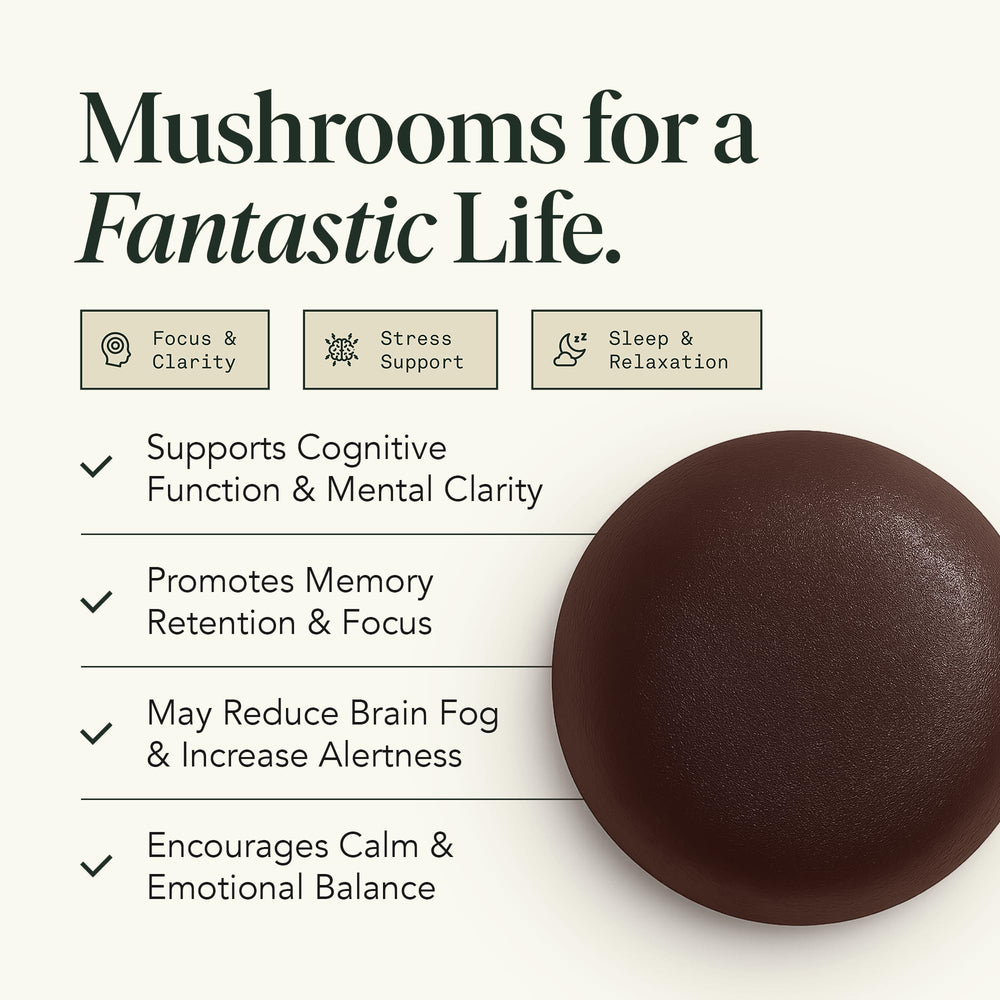 Fantastic Fungi Memory Gummies bottle side confirms vegan and gluten-free formula.