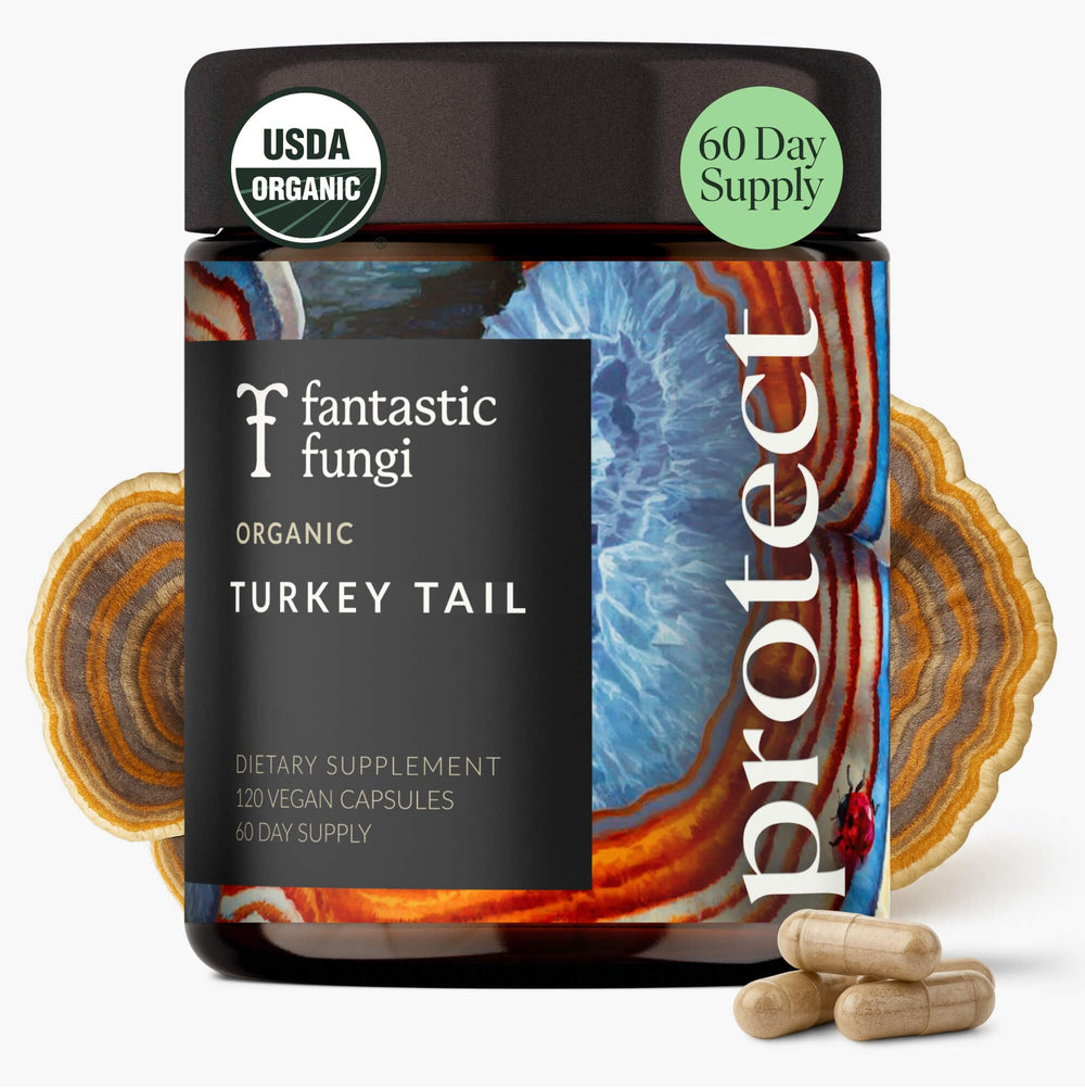 Fantastic Fungi Turkey Tail capsules bottle for daily use supporting gut balance.