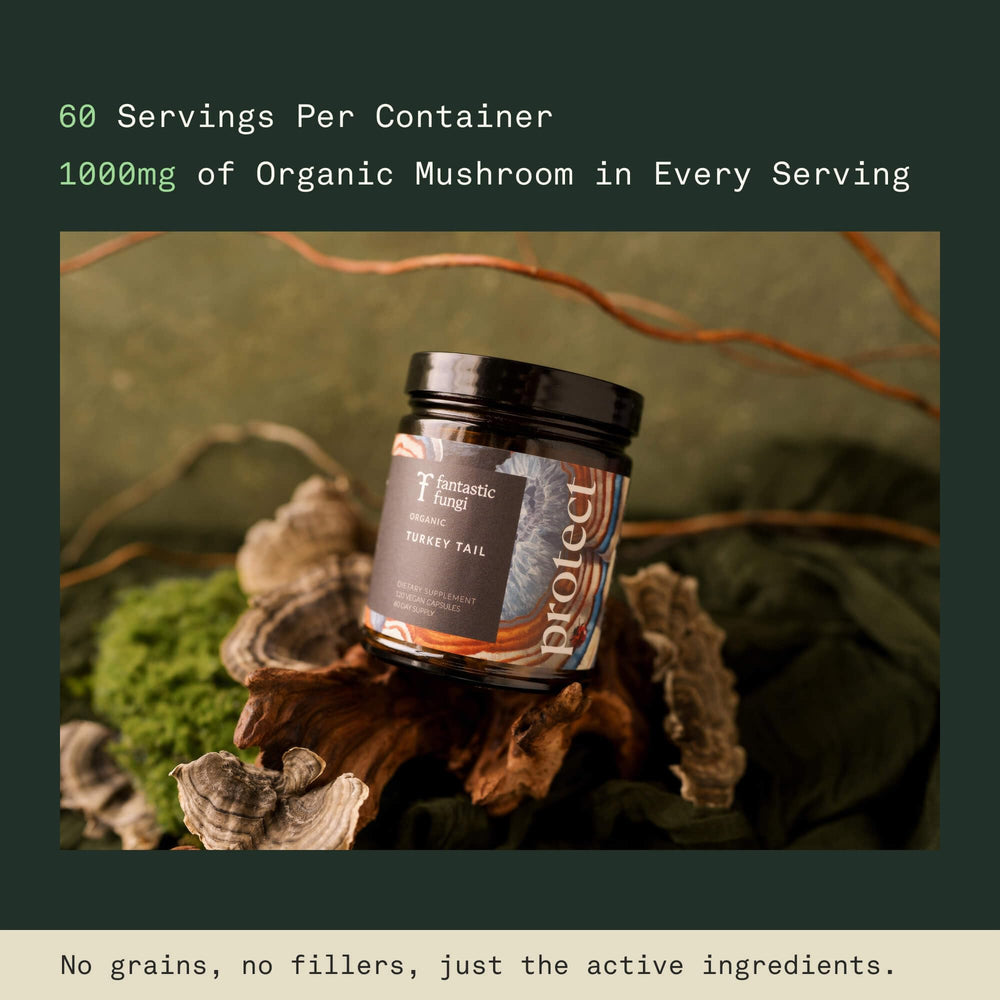 Fantastic Fungi vegan capsules image communicates plant-based turkey tail supplement.
