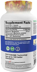 Feel Good Superfoods Berberine Phytosome label featuring antioxidant properties for daily wellness