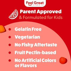 Two Feel Great Vitamins Kids DHA Gummies boxes to illustrate the 2-pack option
