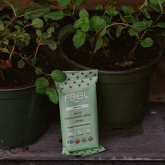Feel vegan bars mint chocolate chip ingredients emphasize organic, gluten-free sources.