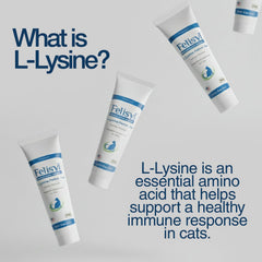 Felisyl L-Lysine Gel kitten-friendly texture improves acceptance