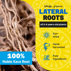 Measuring scoop with Fiji Vanua Kava Vanuatu powder for easy preparation