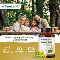 FineLand Mullein Leaf 20x Extract label with dosage for informed use