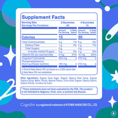 FIRST DAY phosphatidylserine memory support gummies help recall during tests