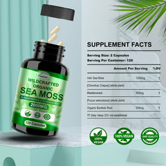 Fleamart sea moss powder in smoothie demonstrates easy daily integration