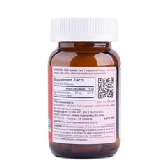 Close-up of Flora Ferritin+ delayed-release capsules for gentle absorption.