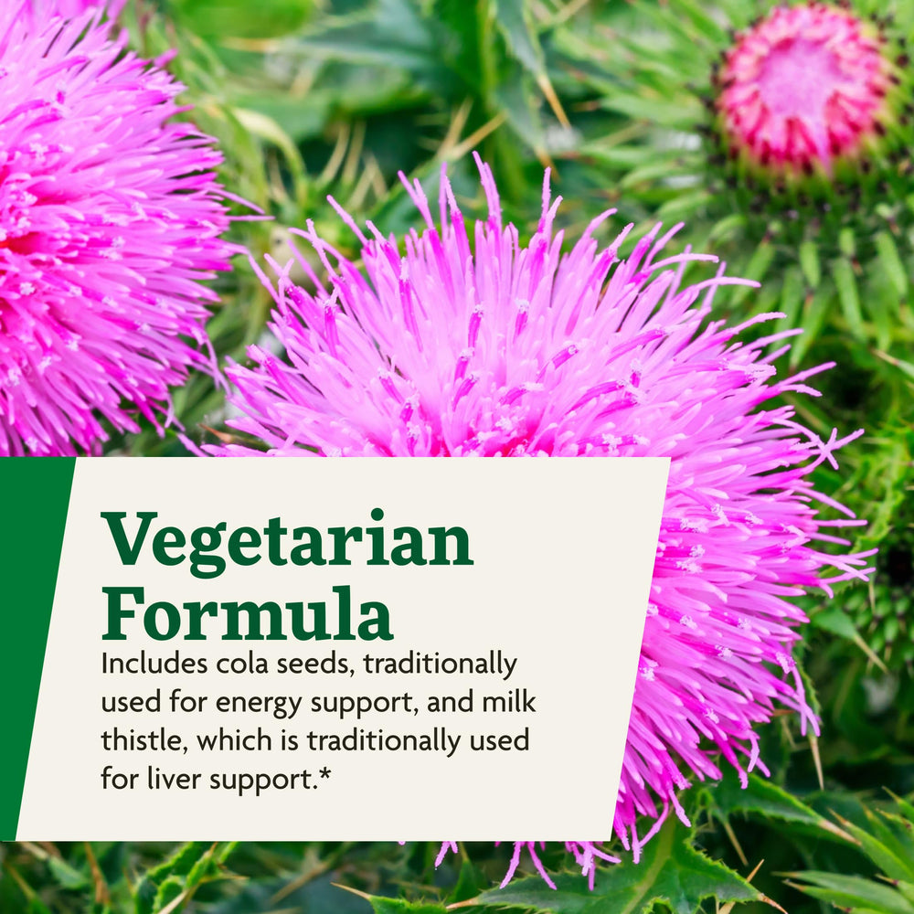 Floradix Epresat fruit juice concentrates provide gentle absorption