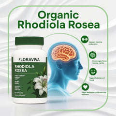 Floraviva Rhodiola bottle pour demonstrating smooth energy support