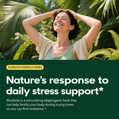 Floraviva Rhodiola capsules on surface ready for routine use