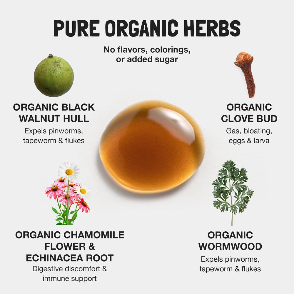 Echinacea purpurea tincture visible in the blend supporting immune-friendly feel for children.