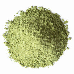 Food to Live Alfalfa Powder bulk bag with scoop for daily use