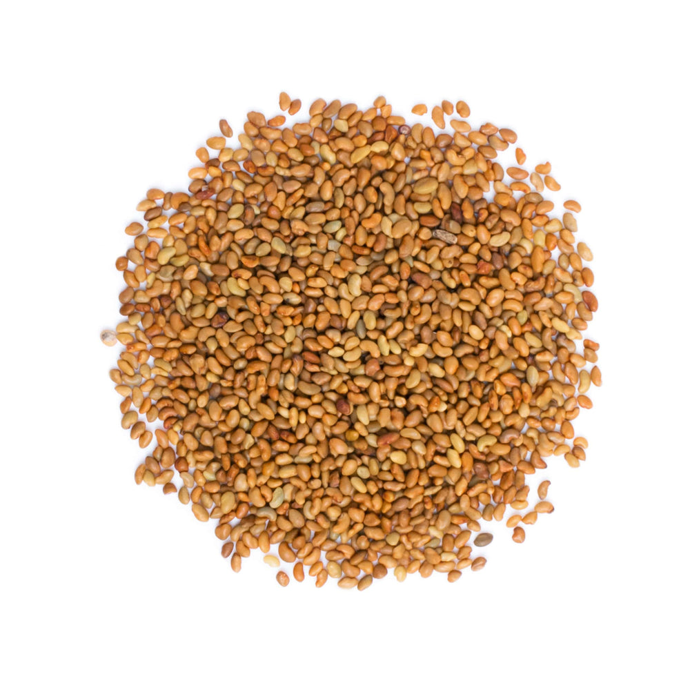 Food to Live organic alfalfa seeds closeup, a plant protein option for meals.
