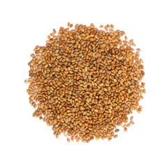 Food to Live organic alfalfa seeds closeup, a plant protein option for meals.