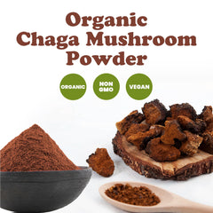 Food to Live Chaga powder in bowl, ideal as cereal topper or pastry ingredient.