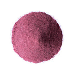 Scoop dispensing Food to Live elderberry powder for bulk use