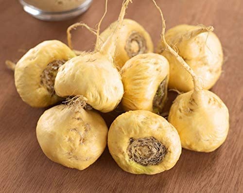 Food to Live maca powder yellow hue in jar, highlighting natural color and flavor.