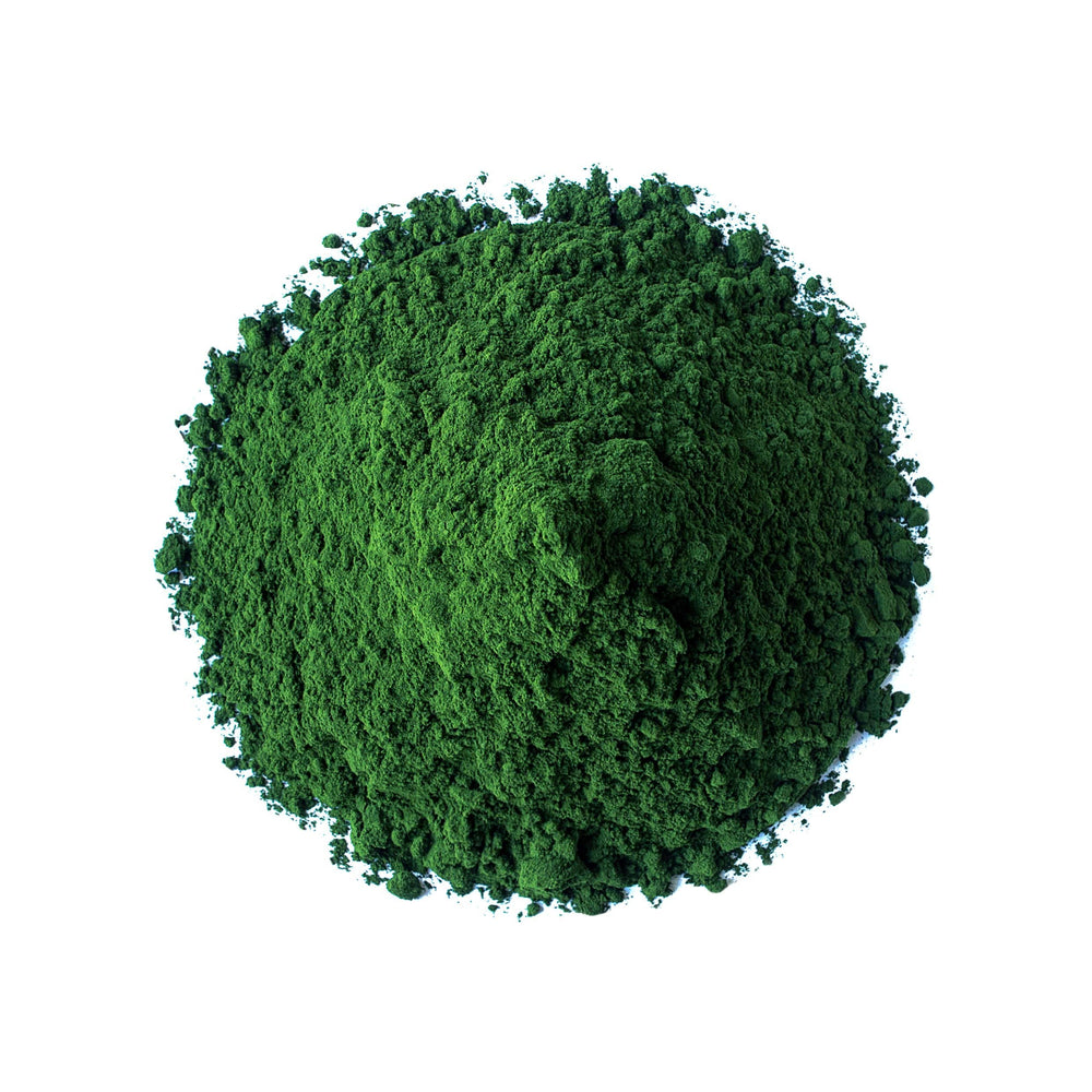 Food to Live spirulina-chlorella close-up shows vibrant emerald color