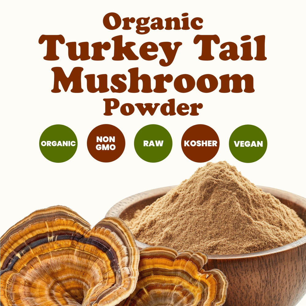Food to Live Turkey Tail Powder stirred into a smoothie for earthy nutrition.