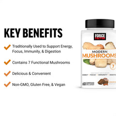 Force Factor Modern Mushrooms soft chews close-up, a tasty, convenient bite for immunity and digestion.