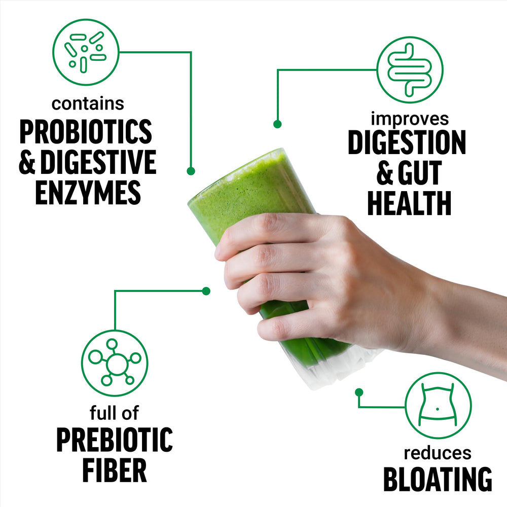 Force Factor Smarter Greens scoop beside the container ready for a gut-friendly boost.