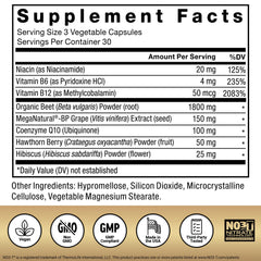 Hawthorn berries image reflects antioxidant botanicals in Total Beets