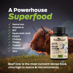 ForestLeaf capsule held in hand suggesting portable wellness on the go.