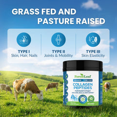 ForestLeaf Collagen Peptides label non-GMO highlights clean ingredients and GMP quality.