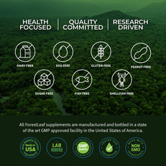 ForestLeaf lab-tested seal and GMP badge visible on packaging