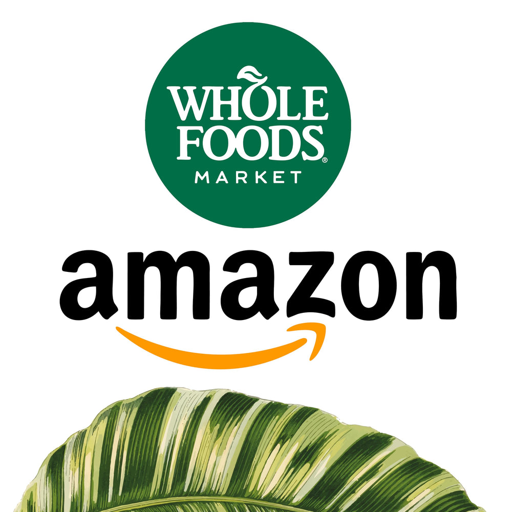 FORTE NATURALS Coconut Oil Softgels promote radiant skin and healthy hair