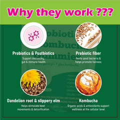 FORTIRISE gummy featuring elm bark and dandelion root in the blend