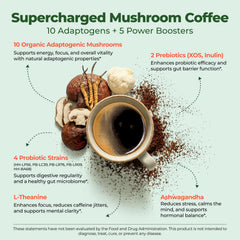 FORTISCA focus mug illustrates enhanced concentration during work with mushroom coffee.