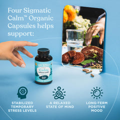 Four Sigmatic Calm Capsules ready for daily routine to support a calm mood.