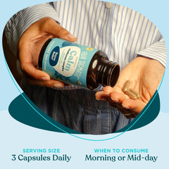 Four Sigmatic Calm Capsules with vitamin B6 signaling support for mood balance.