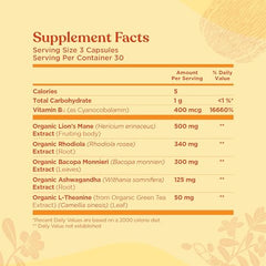 Four Sigmatic Focus Capsules vegan label signals cruelty-free, non-GMO ingredients for mindful daily use.