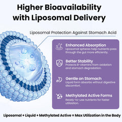 Franguly Liposomal B Complex dropper closeup highlights easy daily drops for vitality