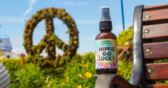 Frankie & Myrrh Hippie Go Lucky room mist setup in a cozy space.