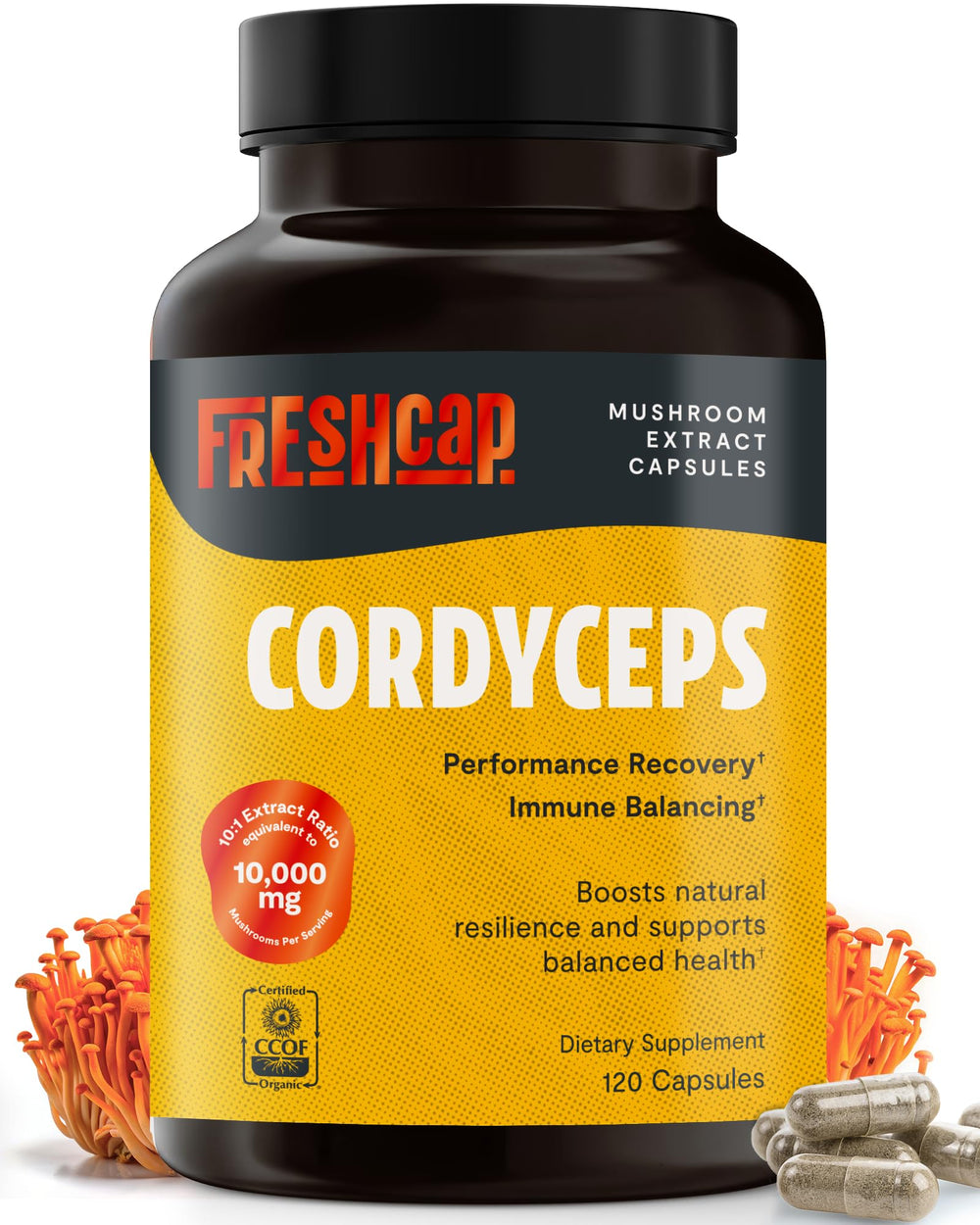 FreshCap Mushrooms Cordyceps capsules bottle designed for daily energy support and concentration