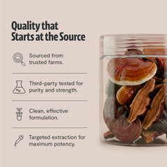 Container back panel shows organic, non-GMO, vegan, gluten-free attributes.