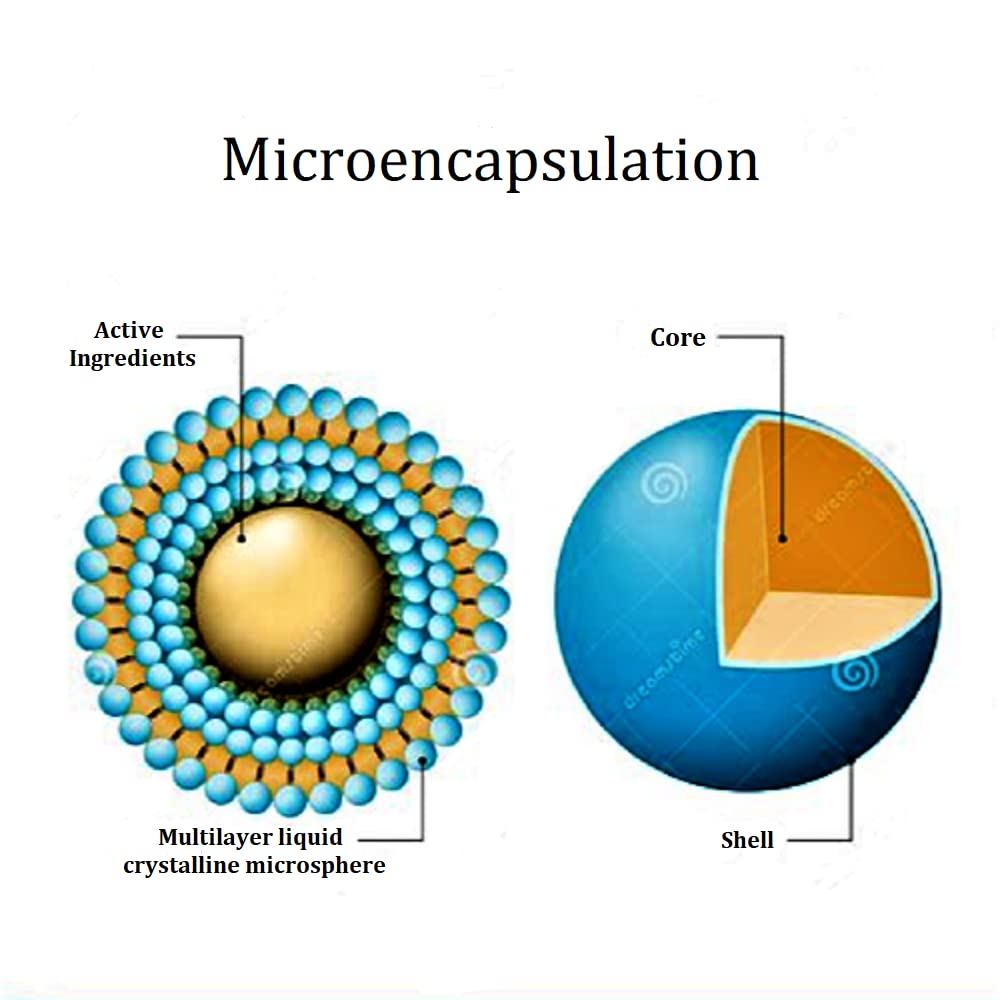Regularity visual indicates reduced bloating and steady digestive rhythm.