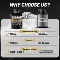 Fubienfit Shilajit bottle shows 120 capsules for a long-lasting supply