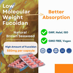FUCOHIQ ONCOFUCO vegetarian label indicating plant-based capsules