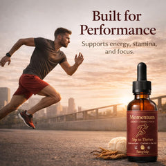 FUNGISIP Momentum tincture drops illustrate easy dropper dosing for daily rituals.