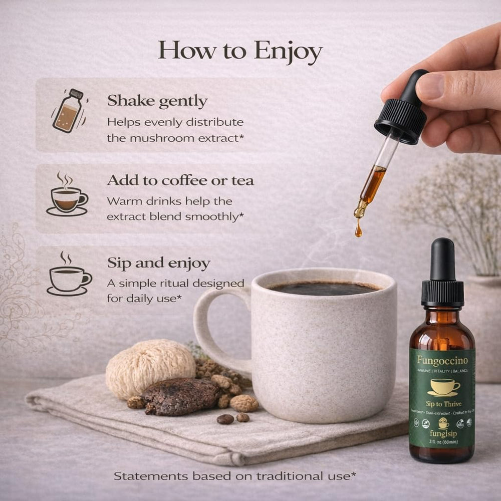 FUNGISIP Fungoccino Chaga roots emphasize natural antioxidants